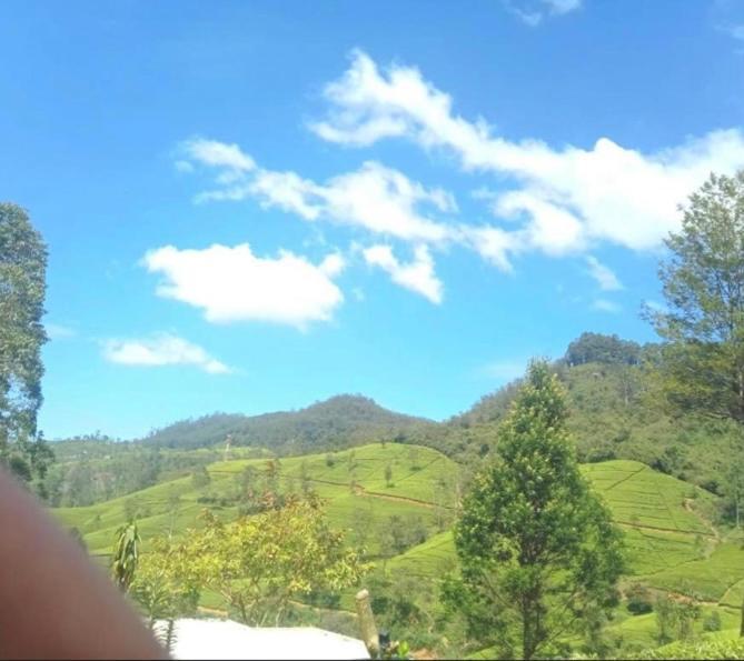 Nuwaraeliya Penthouse Apartment With Pool & Panaromic Views Nuwara Eliya Bagian luar foto